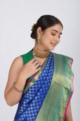 Blue And Green  Kanjeevaram Sareeuntitled (3 of 10)